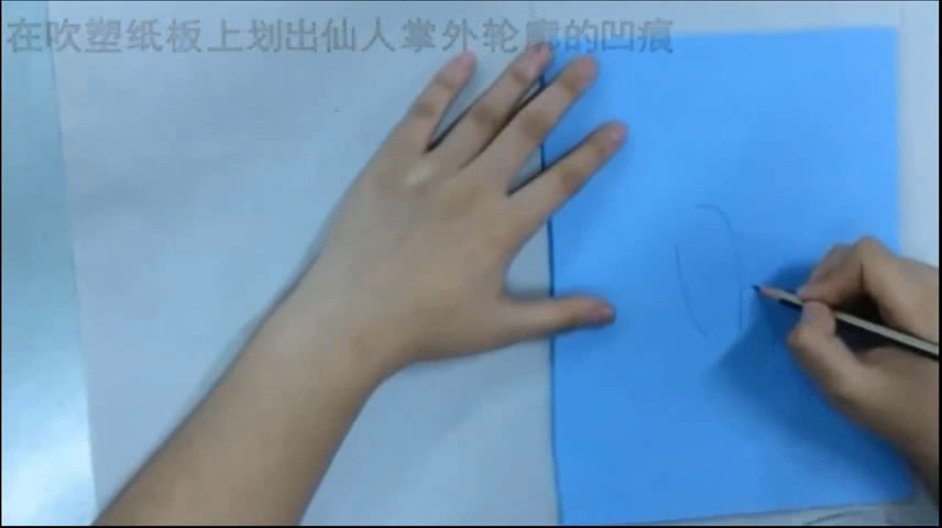 岭南版美术三上《14.奇特的热带植物》广东眭老师-市一等奖