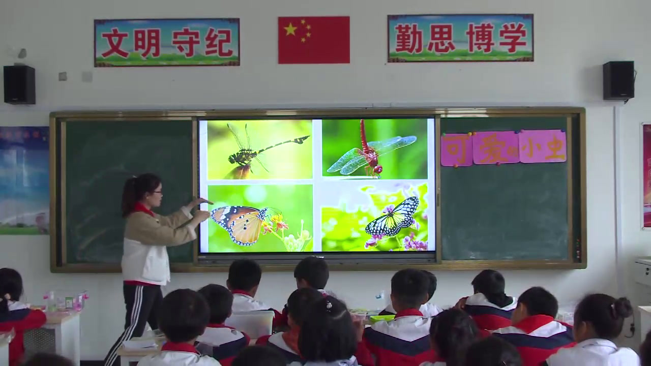 岭南版美术一上《10.可爱的小虫》安徽张老师-市一等奖
