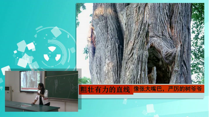 岭南版美术二上《8.给树爷爷画像》广东韦老师-市一等奖