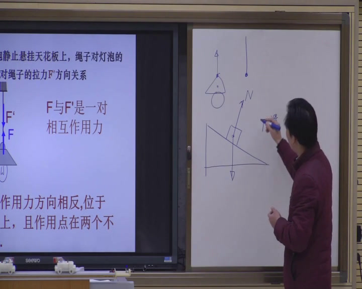 人教版物理必修1《5　牛顿第三定律》广西周老师-省一等奖