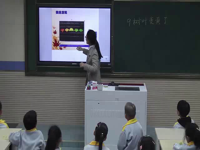 苏教2017版科学一上《9树叶变黄了》安徽唐老师-市一等奖