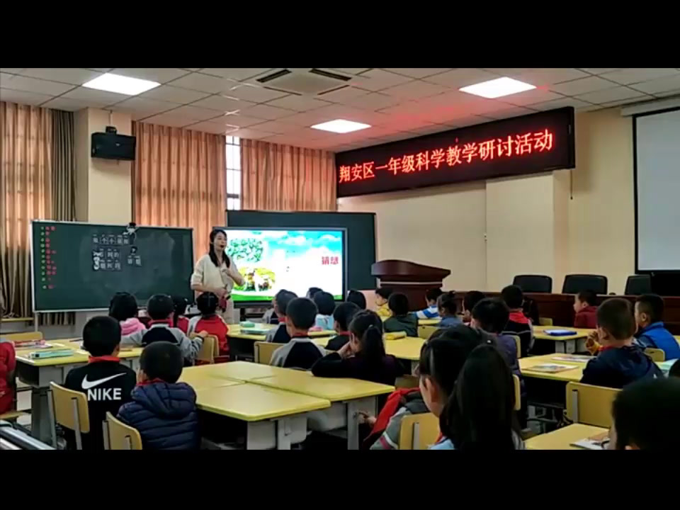 苏教2017版科学一上《7做个小侦探》福建高老师-全国一等奖