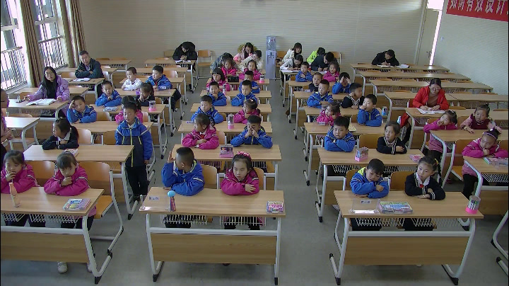 苏教2017版科学一上《9树叶变黄了》内蒙申老师-市一等奖
