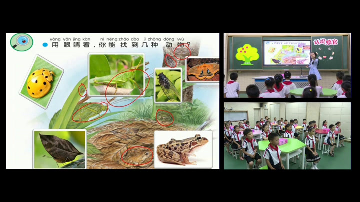 苏教2017版科学一上《4认识感官》湖北姜老师-市一等奖