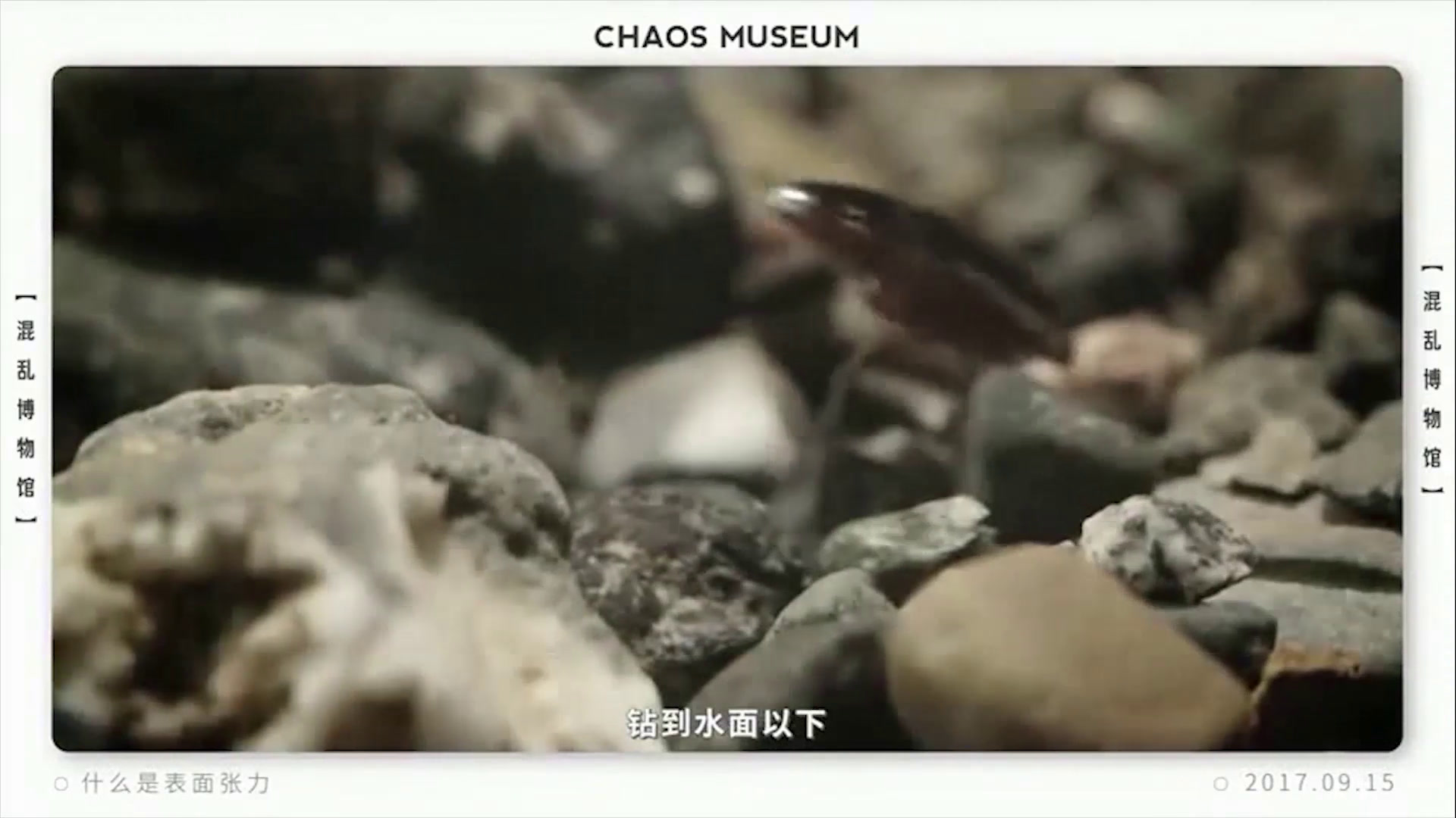 人教版化学选修2《课题2　表面活性剂　精细化学品》辽宁宋老师-市一等奖