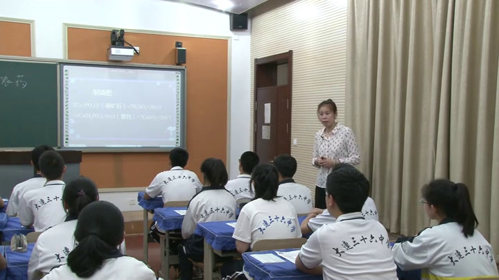 人教版化学选修2《课题1　化肥和农药》辽宁万老师-市一等奖