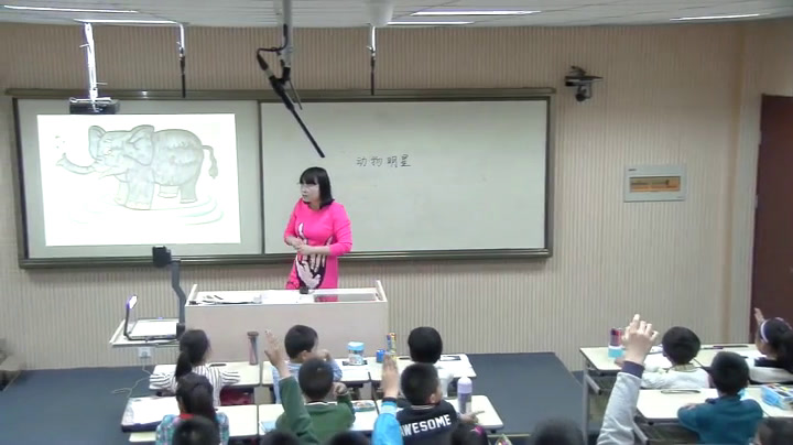 苏少版美术三上《第9课　动物明星（一）》江苏汪老师-市一等奖