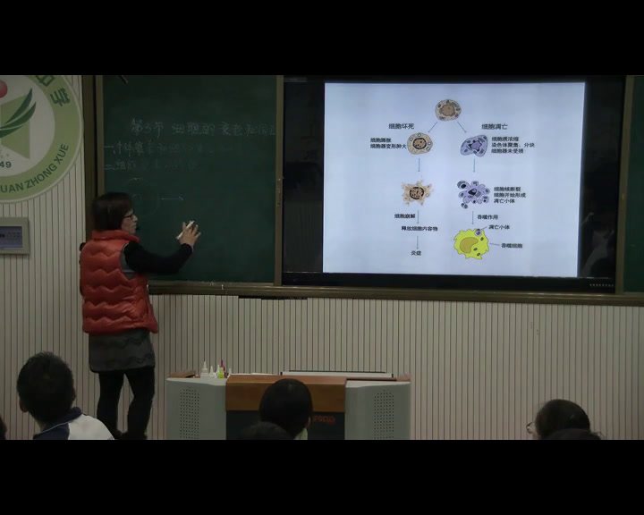 人教版生物必修1《第3节　细胞的衰老和凋亡》安徽张老师-全国一等奖