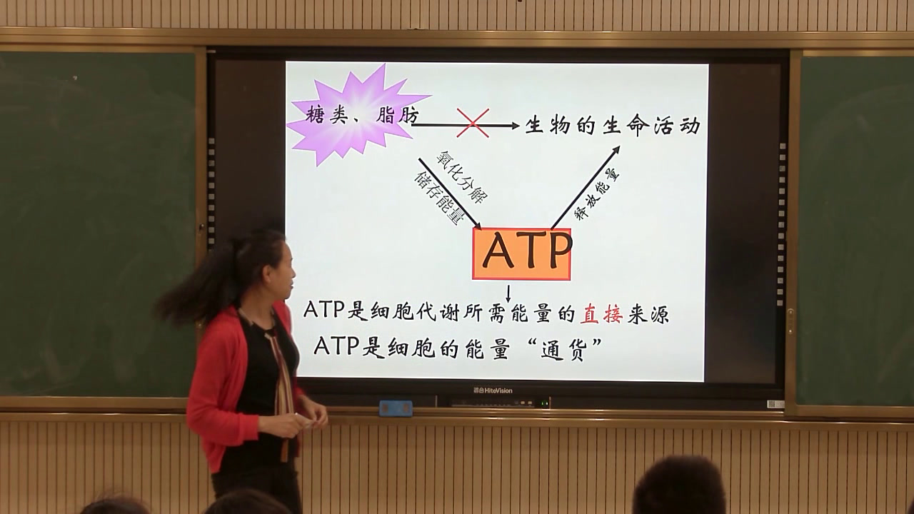 人教版生物必修1《第2节　细胞的能量“通货”──ATP》湖北刘老师-省一等奖