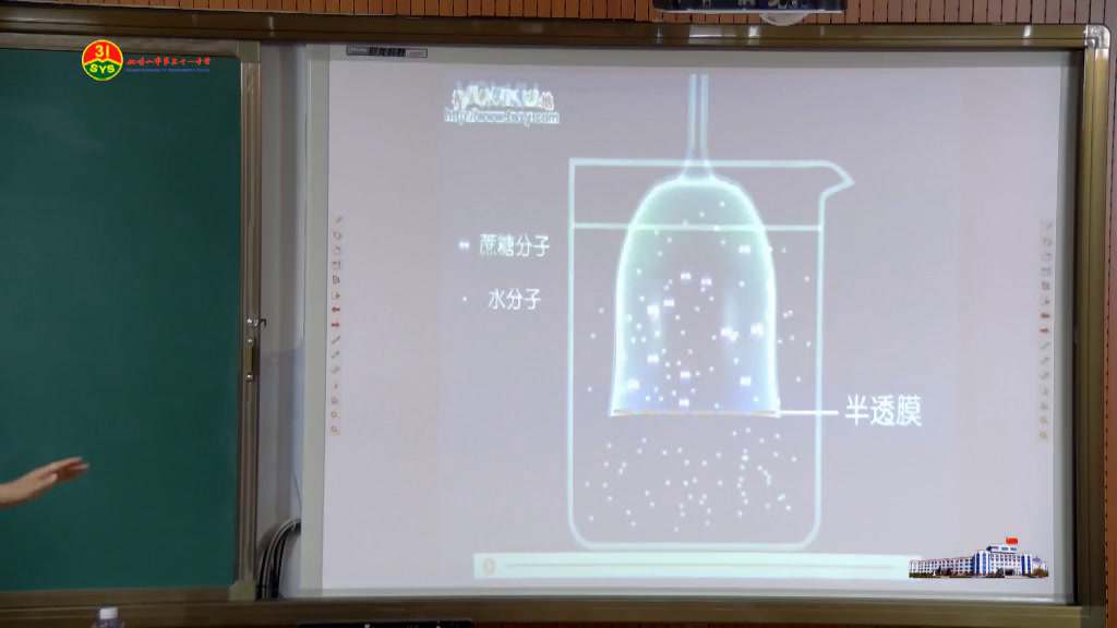 人教版生物必修1《第1节　物质跨膜运输的实例》黑龙江张老师-省一等奖