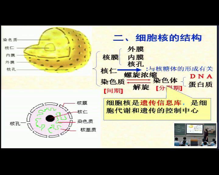 人教版生物必修1《全章复习与测试》江西老师-省一等奖