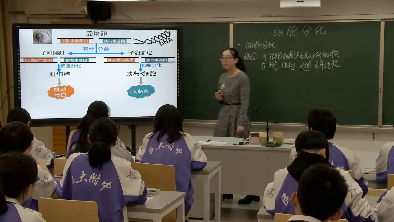 人教版生物必修1《第2节　细胞的分化》北京张老师-全国一等奖