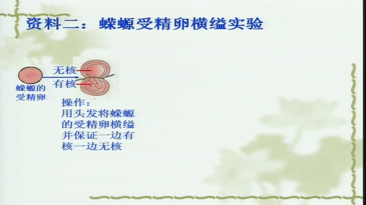 人教版生物必修1《第3节　细胞核——系统的控制中心》甘肃何老师-省一等奖
