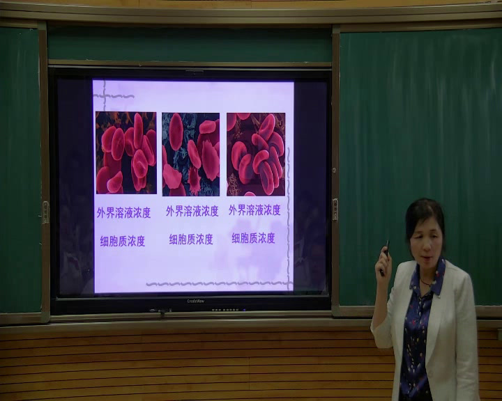 人教版生物必修1《第1节　物质跨膜运输的实例》陕西王老师-省一等奖