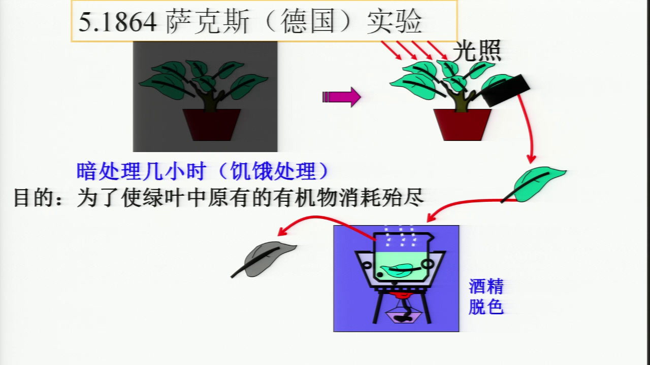 人教版生物必修1《第4节　能量之源──光与光合作用》辽宁宋老师-全国一等奖