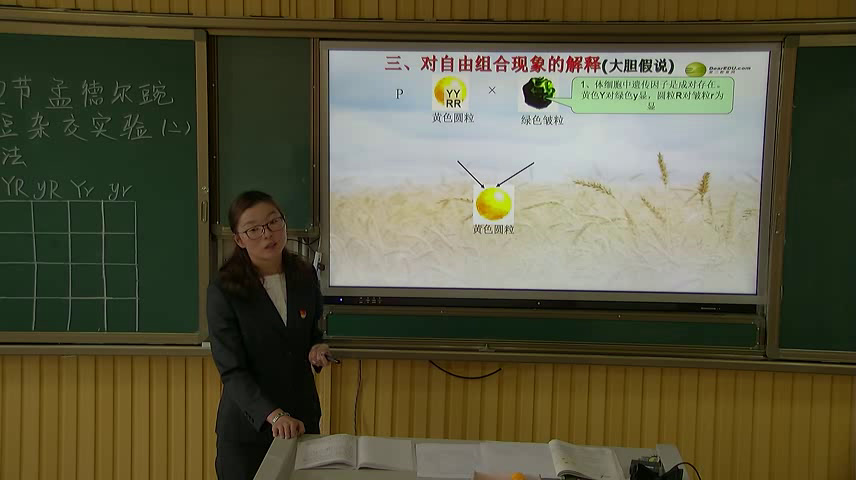 人教版生物必修2《第2节　孟德尔的豌豆杂交实验（二）》新疆李老师-省一等奖