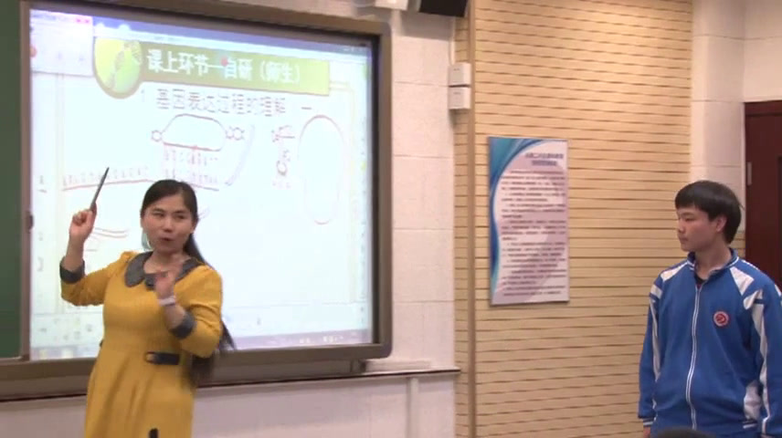 人教版生物必修2《全章复习与测试》天津焦老师-全国一等奖
