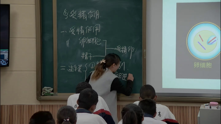 人教版生物必修2《二　受精作用》西藏汪老师-省一等奖
