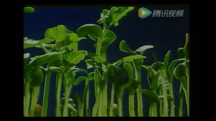 人教版生物必修2《科学家访谈　我赞叹生命的美丽》黑龙江王老师-省一等奖