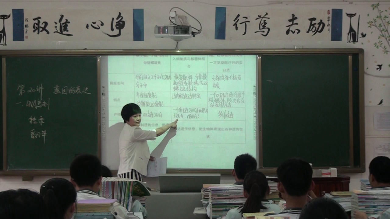 人教版生物必修2《全章复习与测试》海南王老师-省一等奖