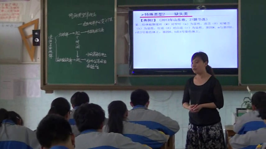 人教版生物必修2《全章复习与测试》湖北洪老师-省一等奖