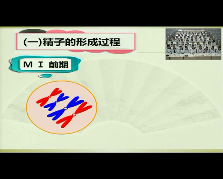 人教版生物必修2《一　减数分裂》吉林刘老师-省一等奖