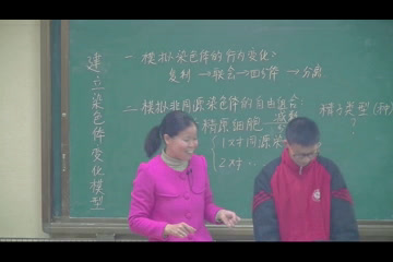 人教版生物必修2《一　减数分裂》安徽陈老师-省一等奖