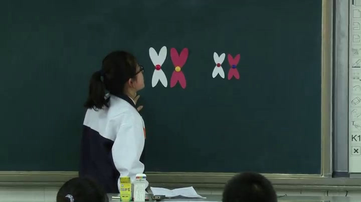 人教版生物必修2《一　减数分裂》山东张老师-全国一等奖