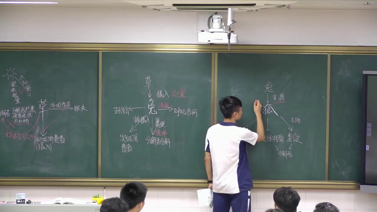 人教版生物必修3《第2节　生态系统的能量流动》广东李老师-省一等奖