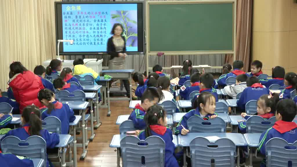 教科2001版科学三上《水生植物》北京陈老师-全国一等奖