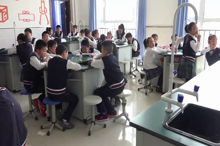 教科2001版科学三上《给身边的材料分类》吉林赵老师-市一等奖