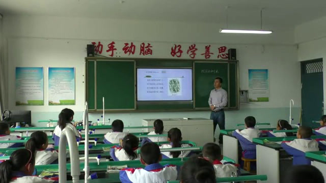 教科2001版科学三上《校园的树木》宁夏李老师-省一等奖