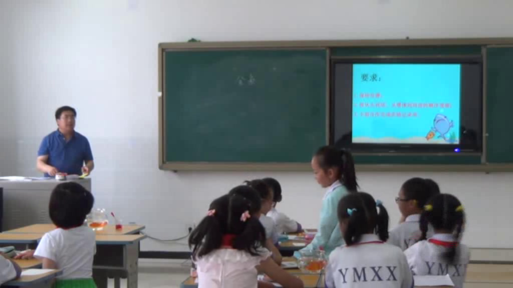 教科2001版科学三上《金鱼》甘肃孔老师-市一等奖