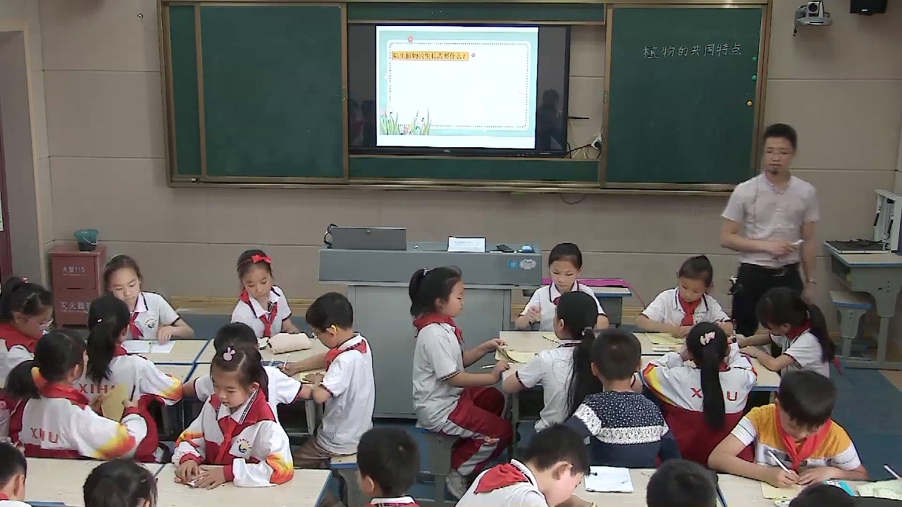 教科2001版科学三上《植物有哪些相同特点》江西徐老师-市一等奖