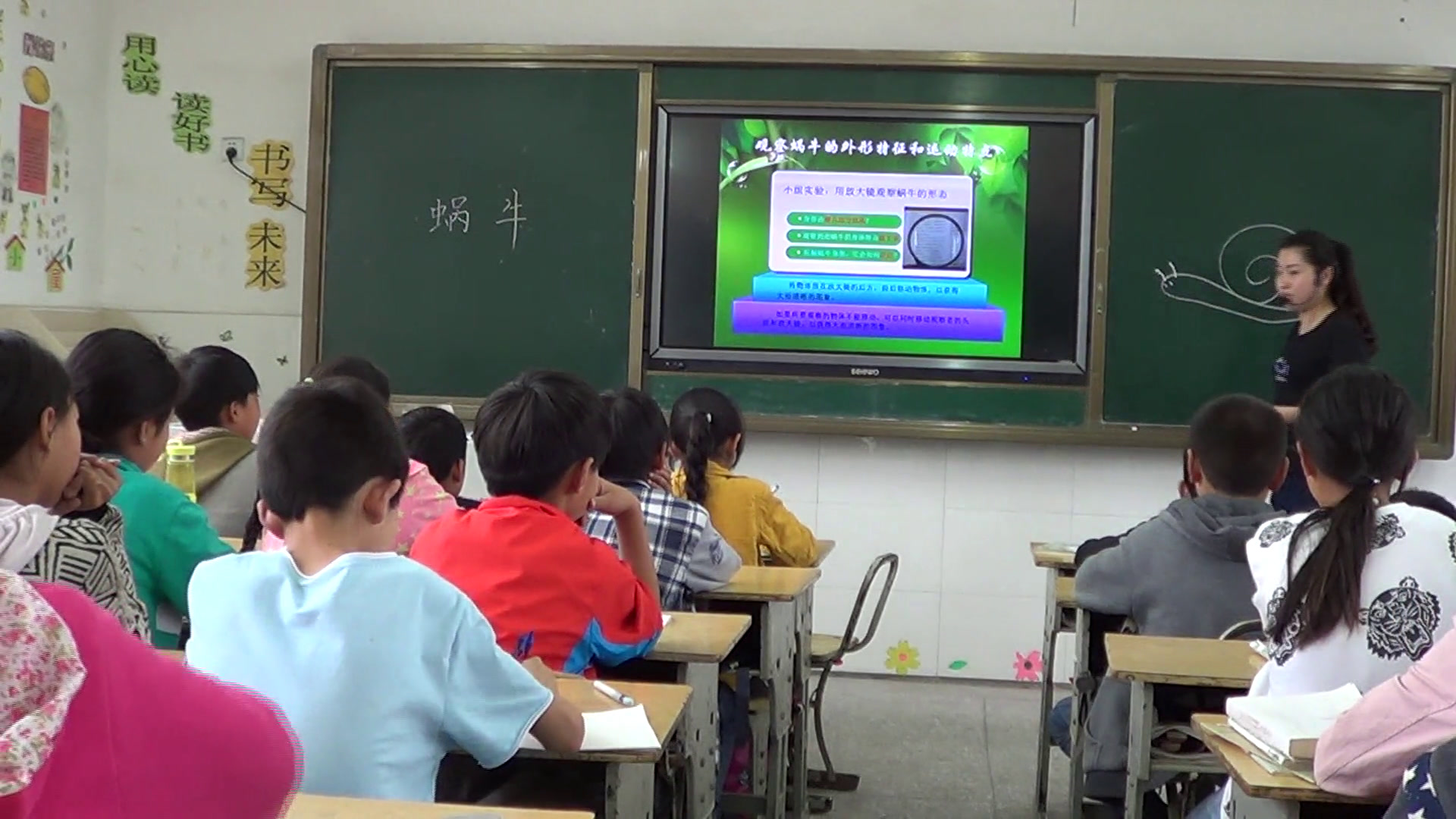 教科2001版科学三上《蜗牛（二）》江苏刘老师-市一等奖