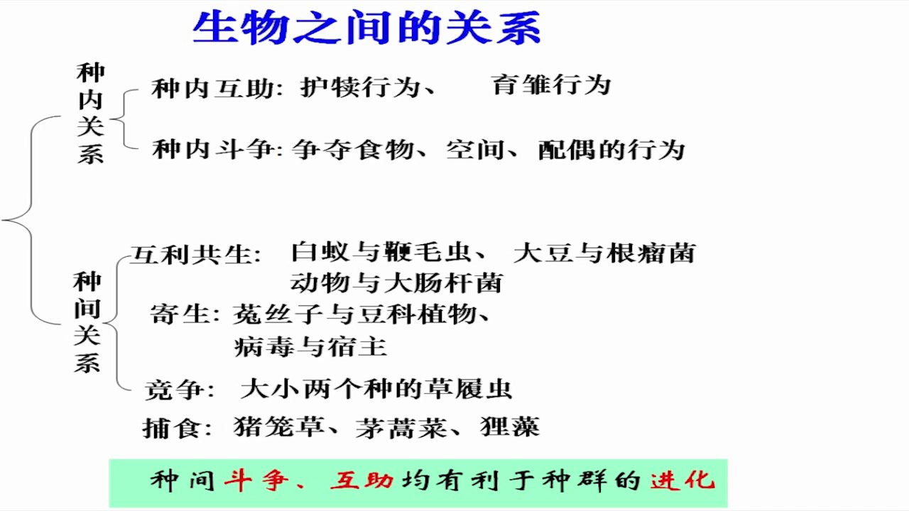 人教版生物必修3《全章复习与测试》安徽老师-市一等奖