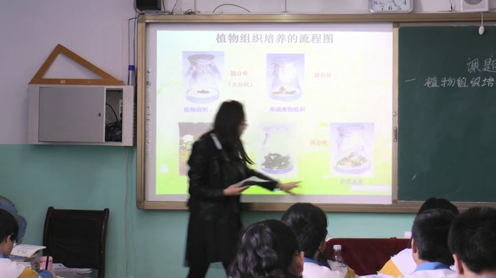 人教版生物选修1《课题1　菊花的组织培养》青海李老师-省一等奖