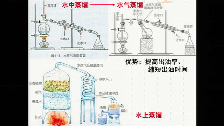 人教版生物选修1《复习与测试》甘肃老师-市一等奖