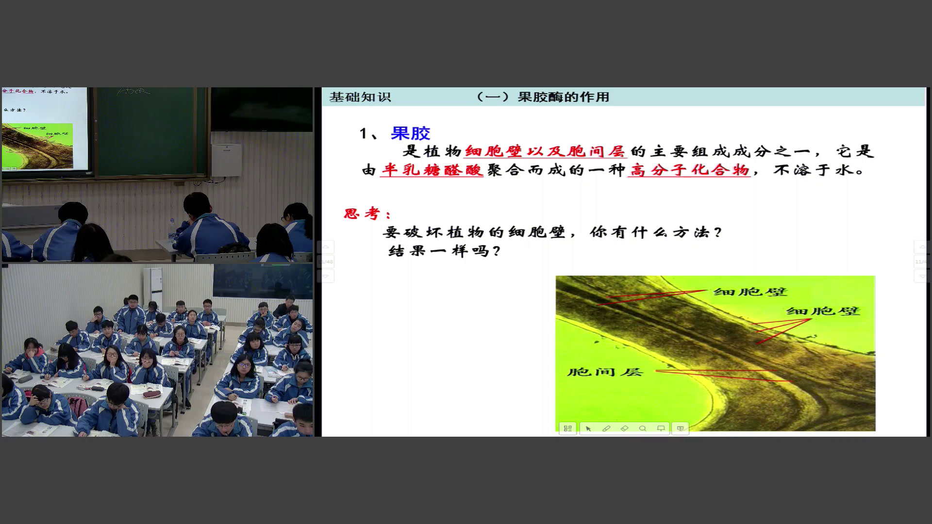 人教版生物选修1《课题1　果胶酶在果汁生产中的作用》湖南刘老师-省一等奖