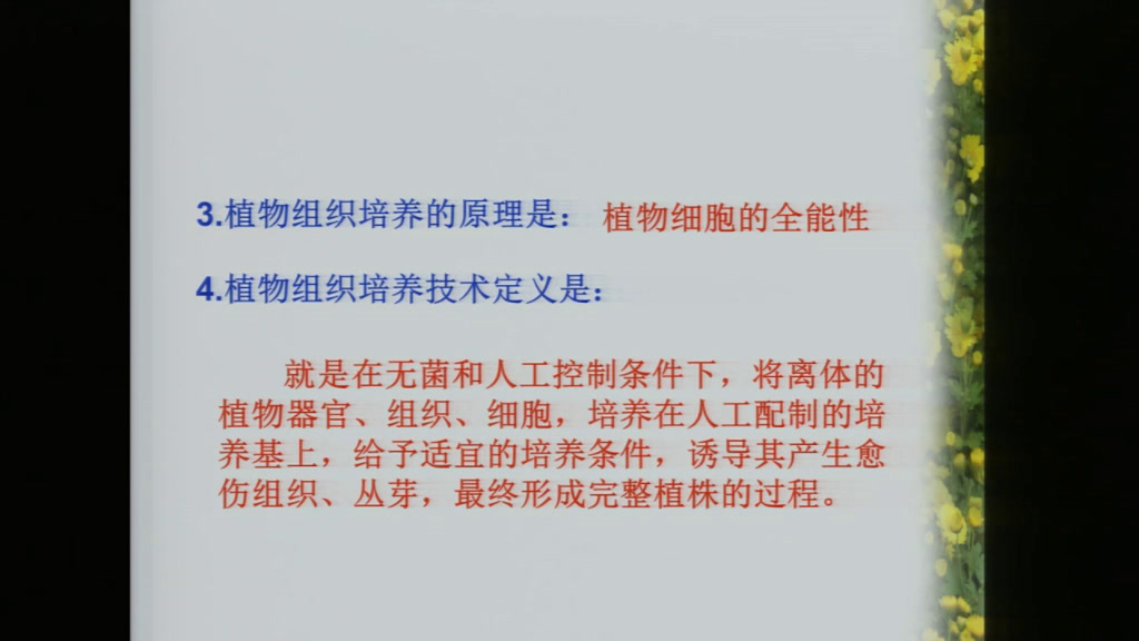 人教版生物选修1《课题1　菊花的组织培养》安徽张老师-县级优课