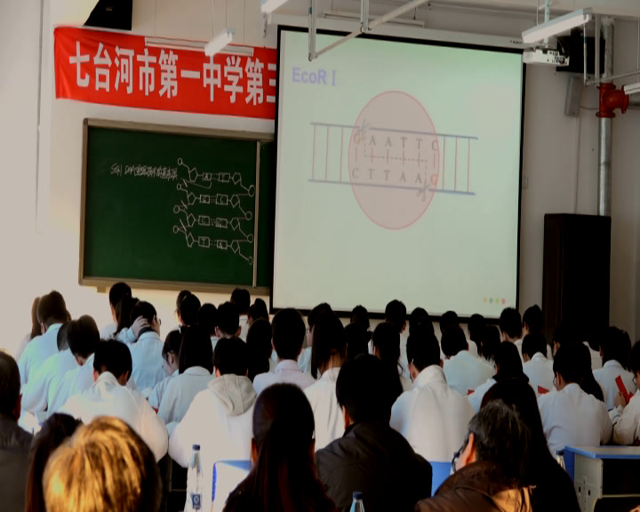 人教版生物选修3《1.1　DNA重组技术的基本工具》黑龙江全老师-全国一等奖