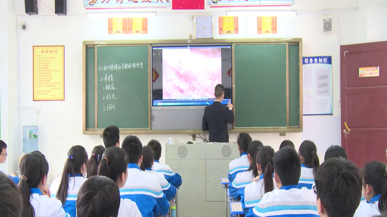 人教版生物选修3《3.1　体内受精和早期胚胎发育》贵州彭老师-省一等奖