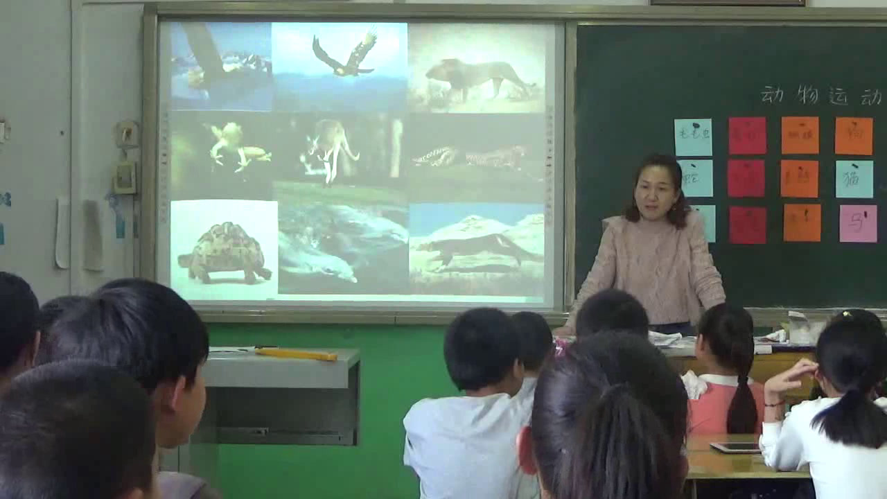冀人2001版科学四上《2动物运动会》河北徐老师-市一等奖