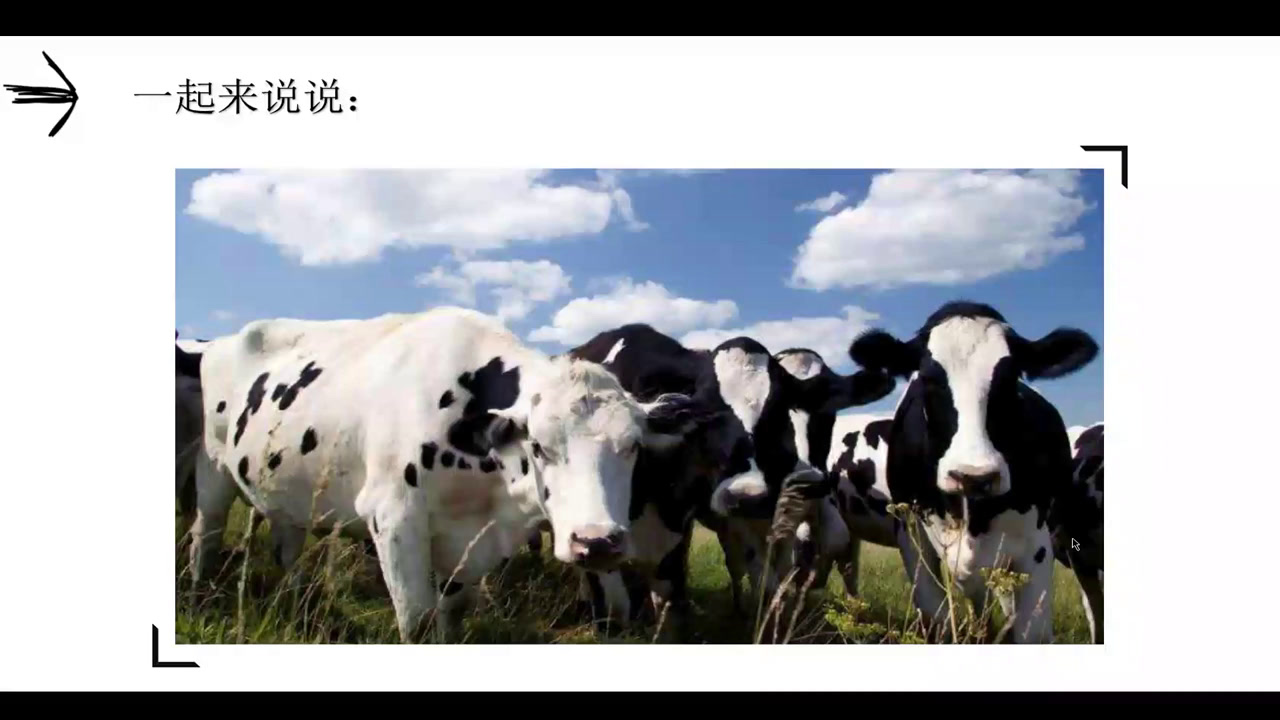 人教版生物选修3《拓展视野　话说哺乳动物的性别控制》福建林老师-市一等奖