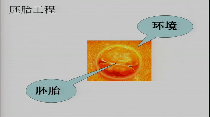 人教版生物选修3《科技探索之路　胚胎工程的建立》河北张老师-县级优课