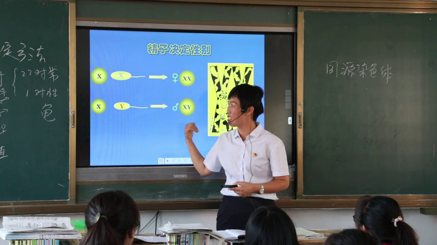 人教版生物选修3《拓展视野　话说哺乳动物的性别控制》河南永老师-市一等奖
