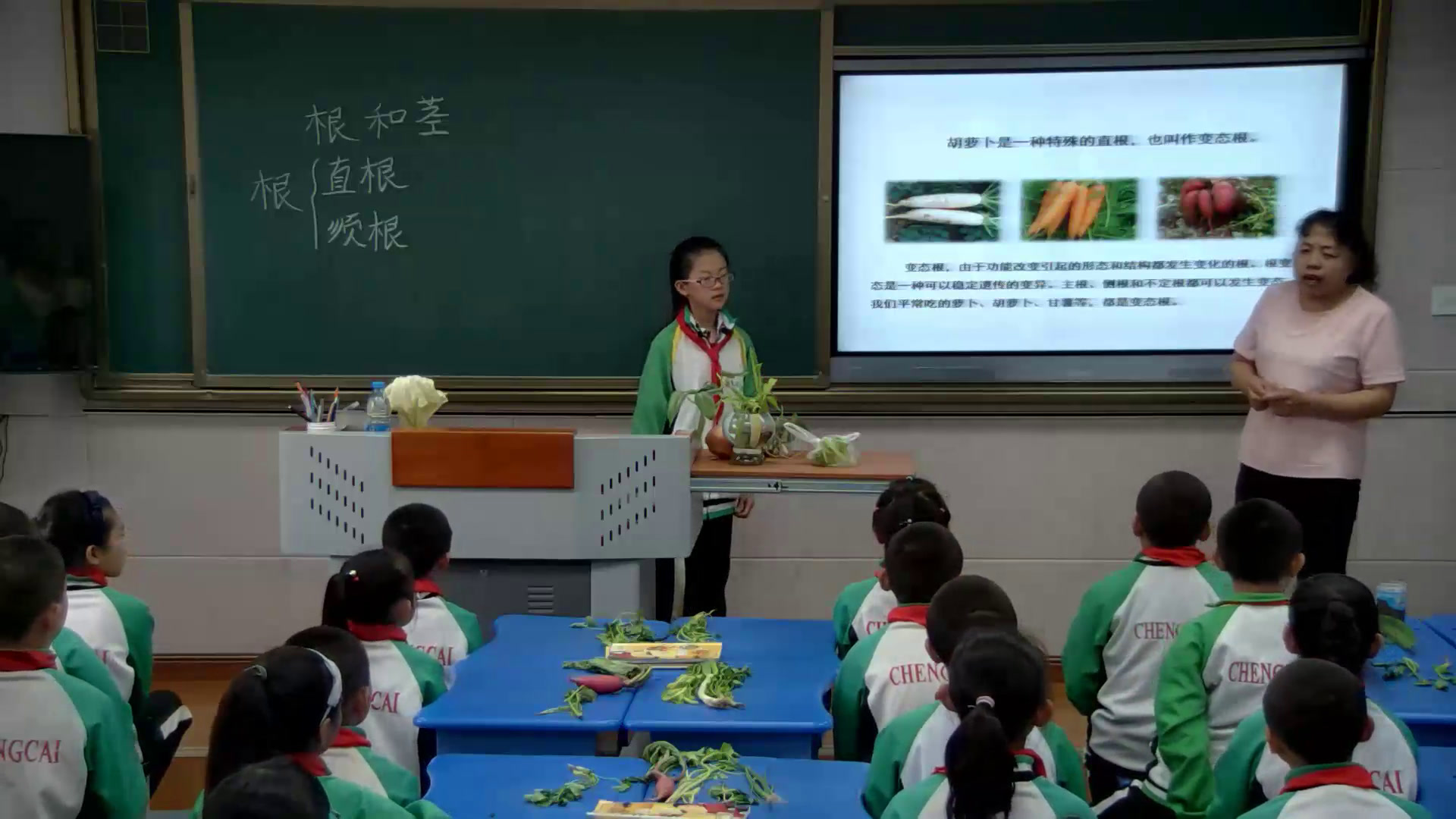 冀人2001版科学五上《4根和茎》内蒙韩老师-县级优课