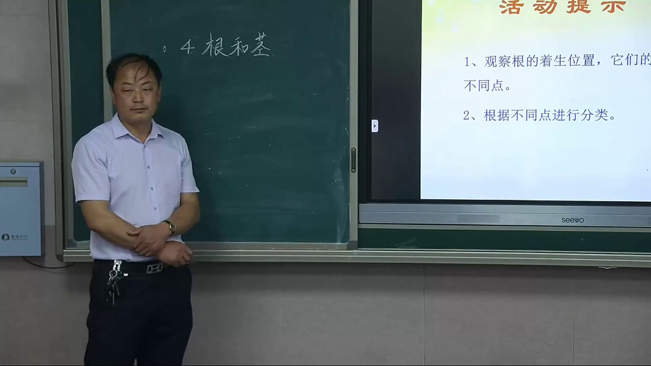 冀人2001版科学五上《4根和茎》河北邓老师-县级优课