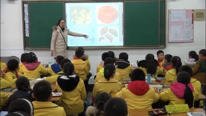 苏教2001版科学四上《1我们吃什么》陕西王老师-市一等奖