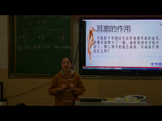 苏教2001版科学四上《3我们是怎样听到声音的》四川代老师-省一等奖